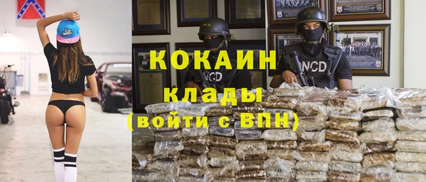 дмт Зерноград