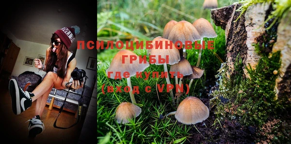 дмт Зерноград