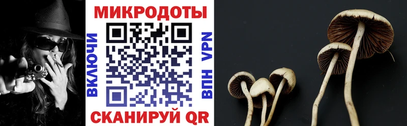 Галлюциногенные грибы Magic Shrooms  Купить где  Санкт-Петербург 